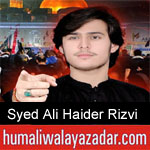 https://humaliwalaazadar.blogspot.com/2019/09/syed-ali-haider-rizvi-nohay-2020.html