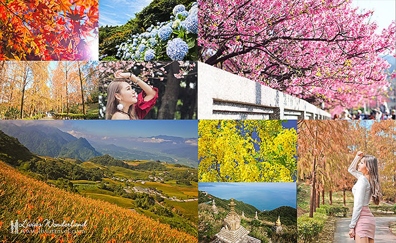 全年全台灣花季總整理 你不知道的台灣之美都在這 最完整追花秘笈21 03更新 Livia S Wonderland薇笑樂園