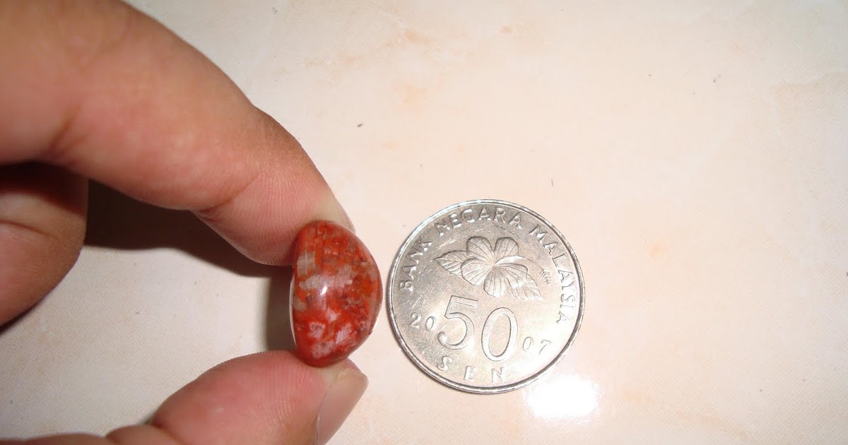 ZAMRUD TECHNOLOGY: [Kod: ZT224] Permata Agatised Fossil 