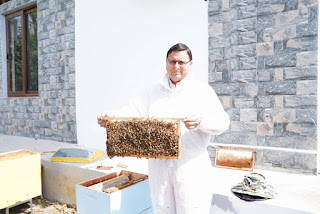 Honey bee production in CM house