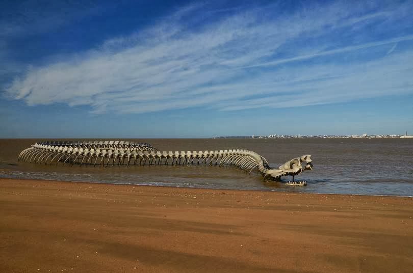 Serpent d’Océan | A Massive Metal Sea Serpent Skeleton on a Beach in France