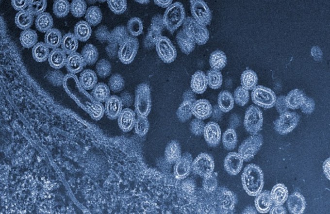 Influenza aviária H7N9 - China  (Taiwan, ex-Jiangsu), novos casos confirmados‏