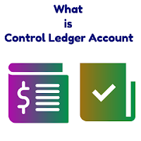 Control Ledger Account In Accounting