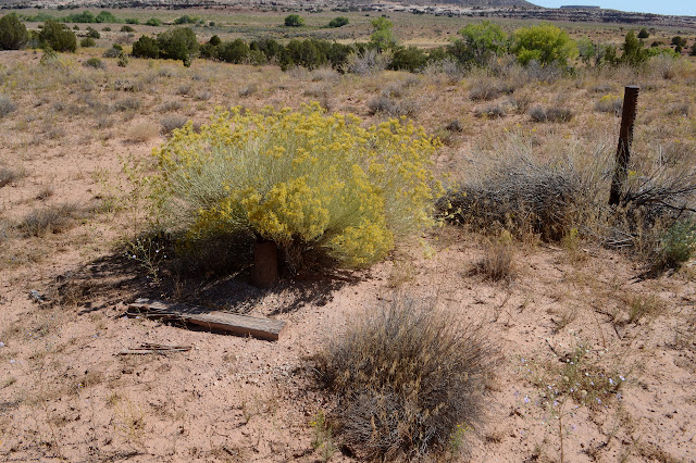 oil drilling has been here