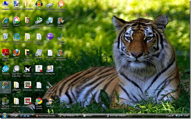 tiger wallpaper. Tiger Wallpaper