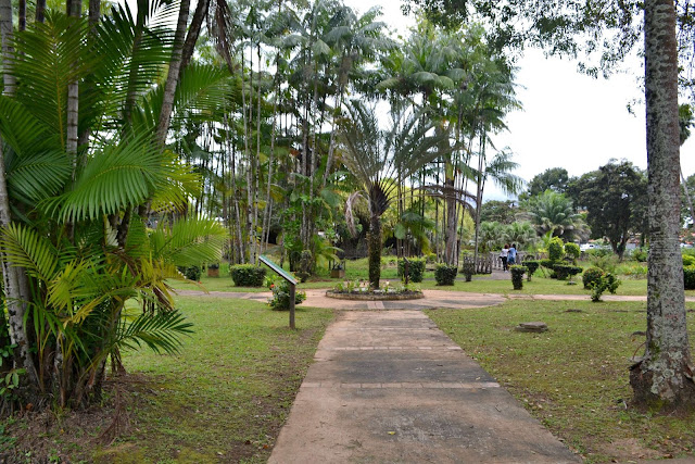 Guyane, Cayenne, visite historique, petit train Koati, jardin botanique