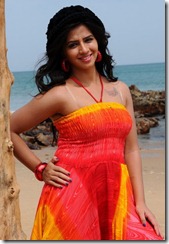 nisha_shah_cute_colourful_photos