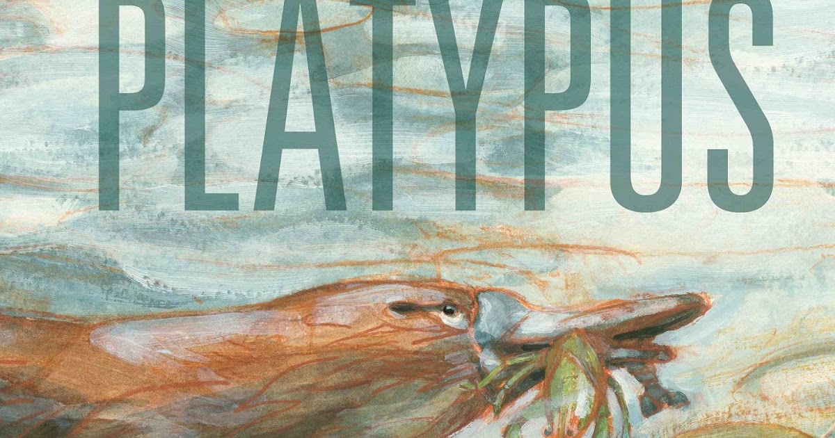 Platypus By Sue Whiting Illustrated By Mark Jackson