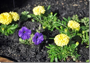 Spring Flower Bed 3