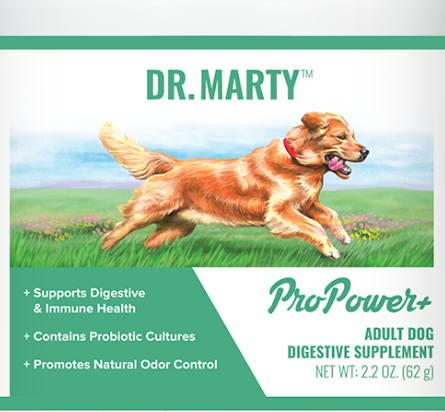 dr marty dog