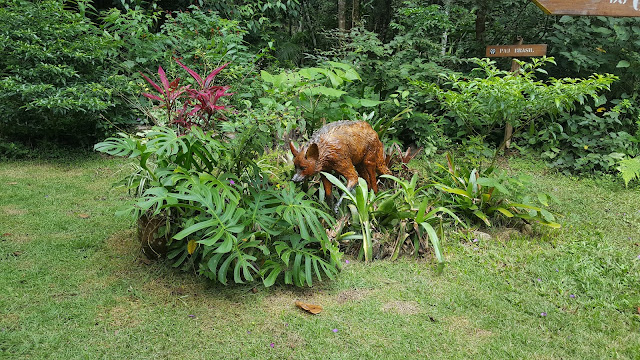 Museu da Floresta da Tijuca