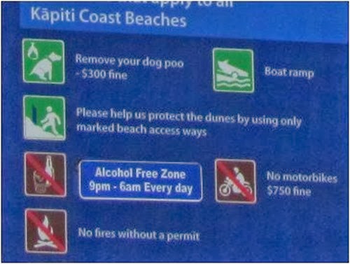 beachx