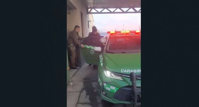 Osorno: capturan a ladrón cuando huía con especies