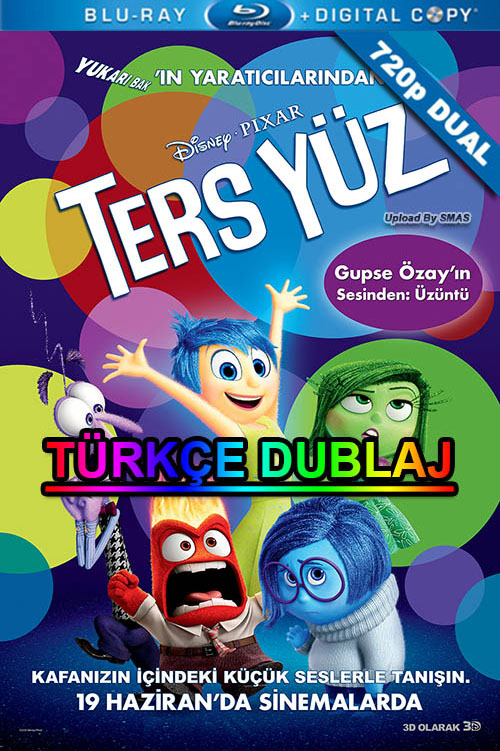 Ters Yüz 2015 Türkçe Dublaj İndir 1080p İzle - Full 