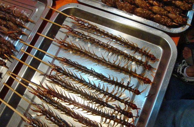 closeup of cooked insects in China