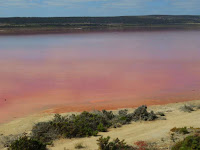 Hutt Lagoon a pink lake