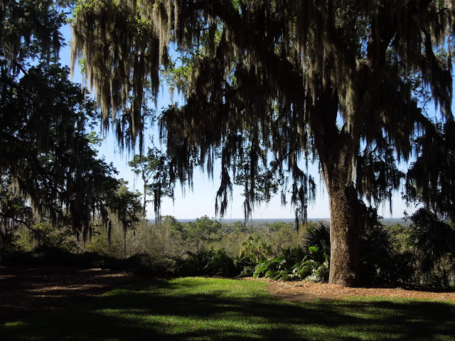 scenic overlook