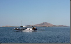 P1150131