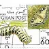 1996 - Afeganistão - Papilio machaon