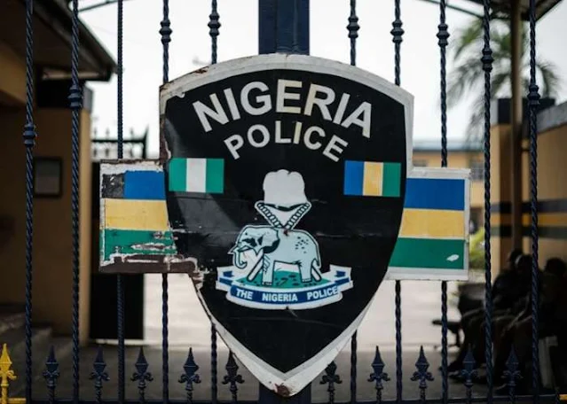 Man stabs policewoman to death in Edo