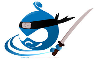 drupal web development services, drupal web development company