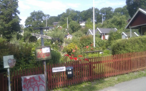 IMAG0661