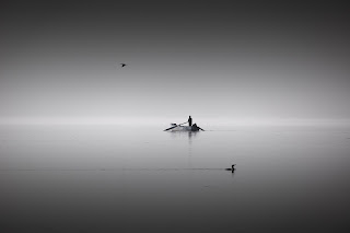 foto di barca a remi in un lago