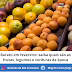 Barato em fevereiro: saiba quais são as frutas, legumes e verduras da época