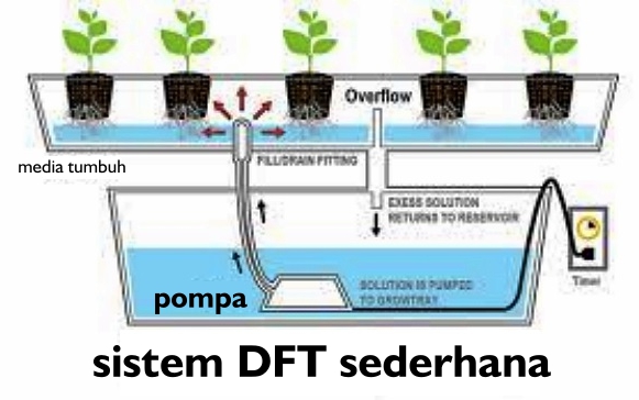  Desain  Rak  Hidroponik  Sistem DFT dan NFT Cara Tanam 