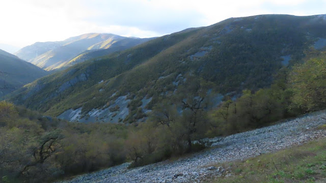 Muniellos, en el sector de Valdebois