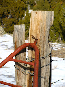 Birdseye Pass Road, Wyoming