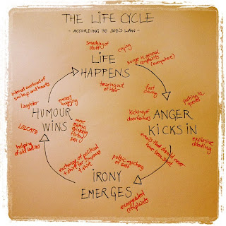 The Life Cycle According to Sod's Law