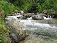 Rio Salmeron
