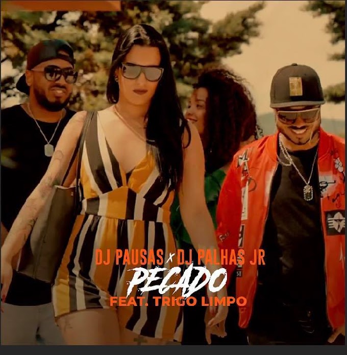 DJ Pausas & DJ Palhas Jr ft. Trigo Limpo - Pecado (Zouk)