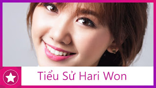   hari won là ai, bố hari won, tiểu sử hari won và trấn thành, tieu su ca si hari won, bố của hari won, tiểu sử trân thành, nhóm nhạc kiss, tiểu sử đinh tiến đạt, tiến đạt sinh năm bao nhiêu