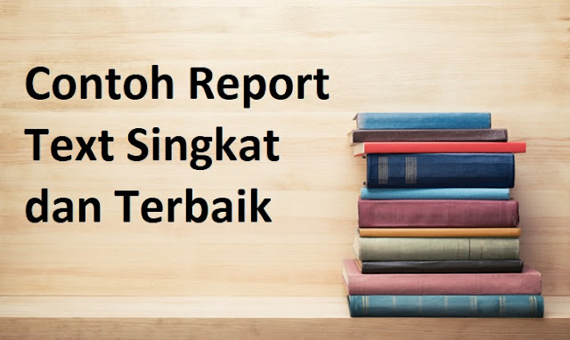 Contoh Report Text