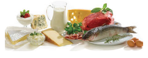02 FItness protein to assist with muscle repair and recovery. Lean muscle burns more calories at rest so ensuring muscles are trained, fed and rested is integral to muscle growth. How much protein per day?
