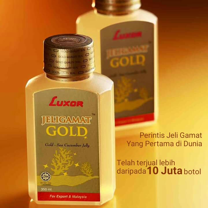 Fungsi Jelly Gamat Gold
