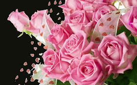 bouquet-of-pink-roses-hdwallpapers-images