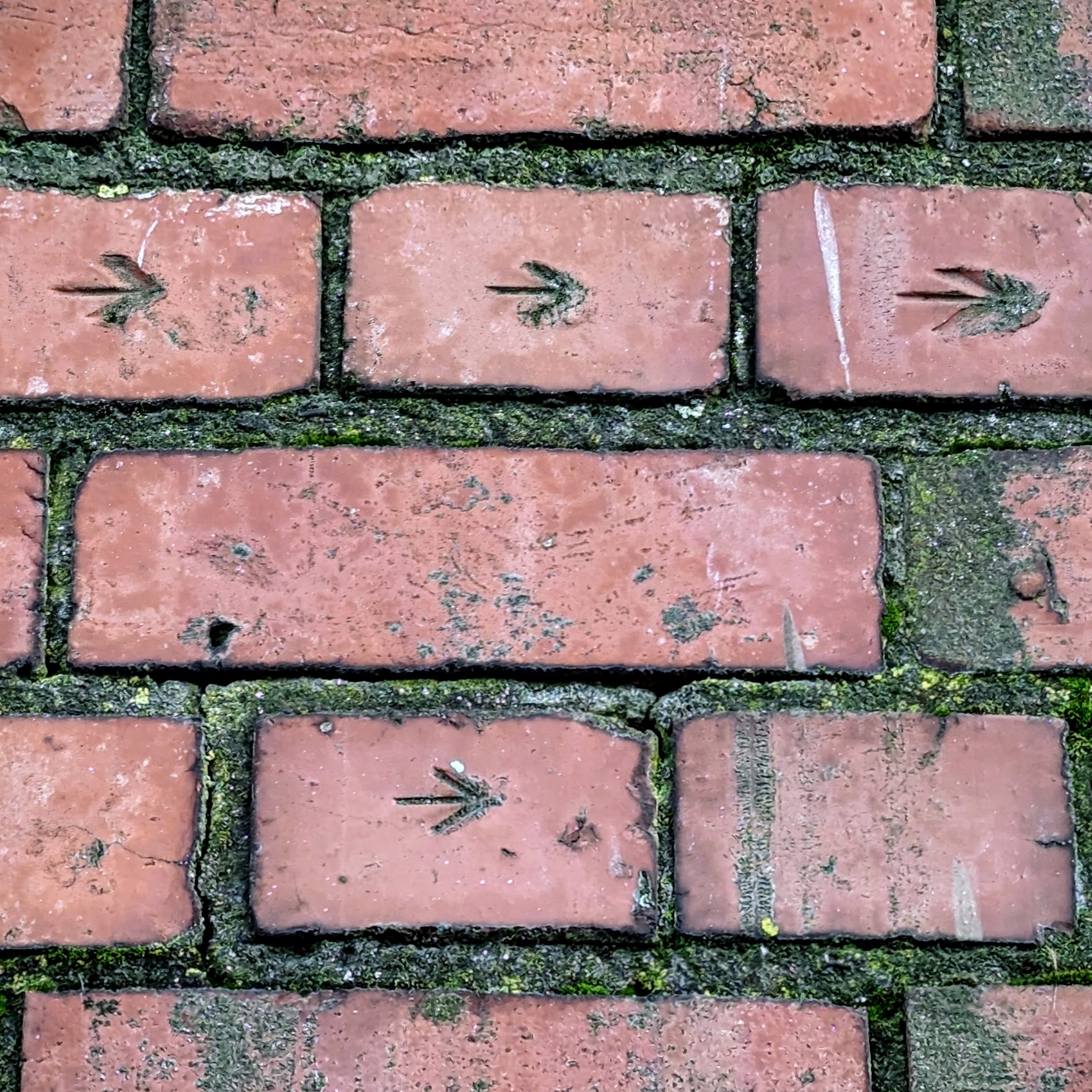 Five rows of red bricks in a retaining wall, four of the bricks have a right pointing arrow baked into them.