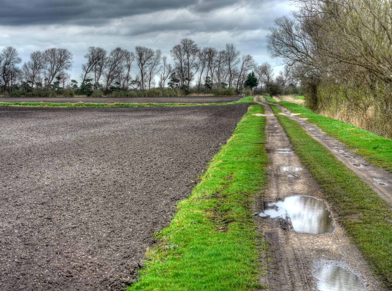 P1060869_3_4_5_6_7_8_tonemapped.jpg