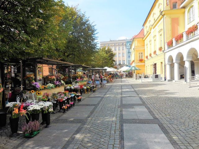 co zobaczyć w Świdnicy