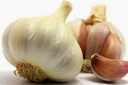 The Benefits of Garlic