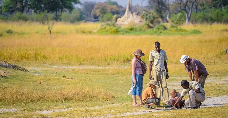 The Best Tanzania Safari Tour Package From Canada: Is It Worth The Hype?