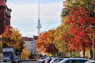 bunt gefärbte Baumallee