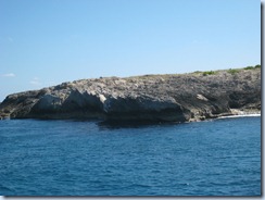 Rocks of Prickly Pear