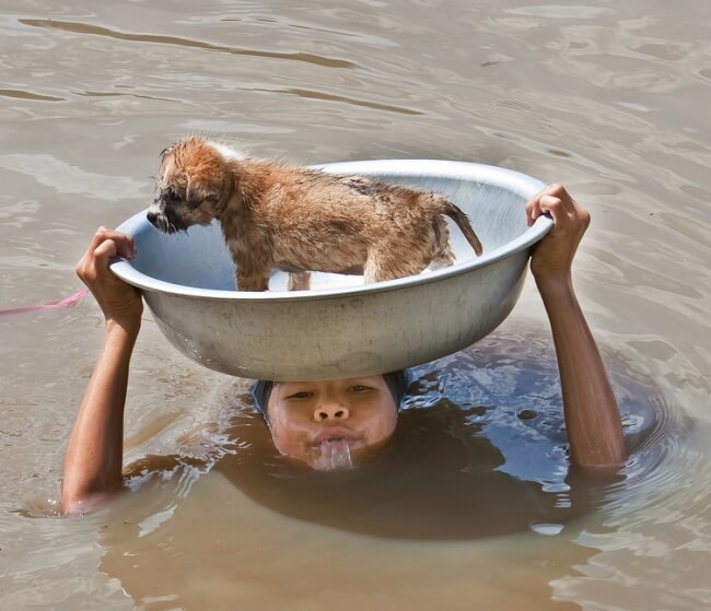 22 Stirring Pictures That Made Even The Toughest Of Us Cry - A girl saving a puppy during a harsh storm.