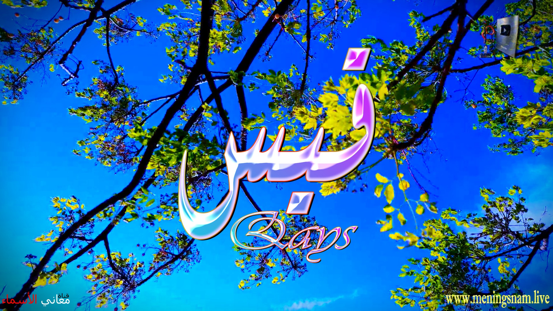 معنى اسم, قيس, وصفات, حامل, هذا الاسم, Qays,