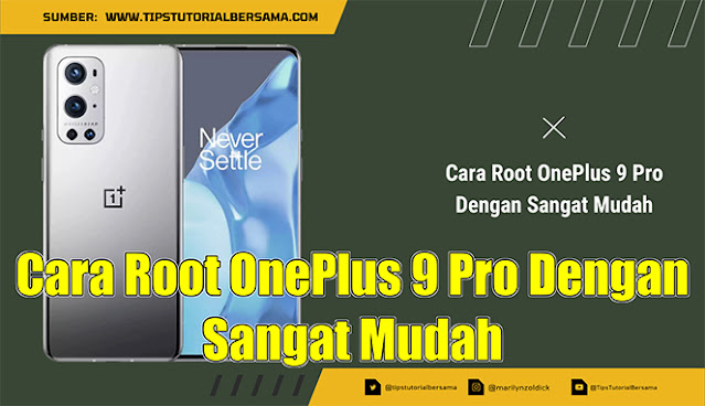 Cara Root OnePlus 9 Pro Dengan Sangat Mudah