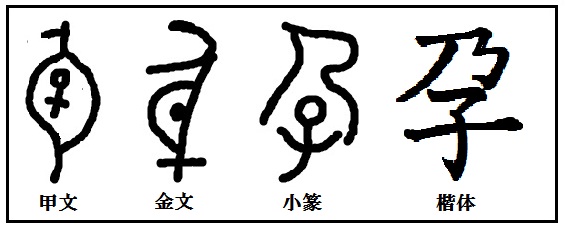漢字考古学の道 漢字の由来と成り立ちから人間社会の歴史を遡る 漢字の成り立ちの意味するもの 漢字 孕 を作った発想はすごい まんまじゃー